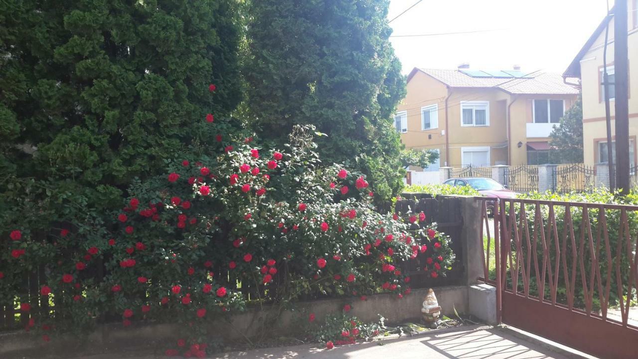 Rubin Apartman ハイデゥソボスロー エクステリア 写真